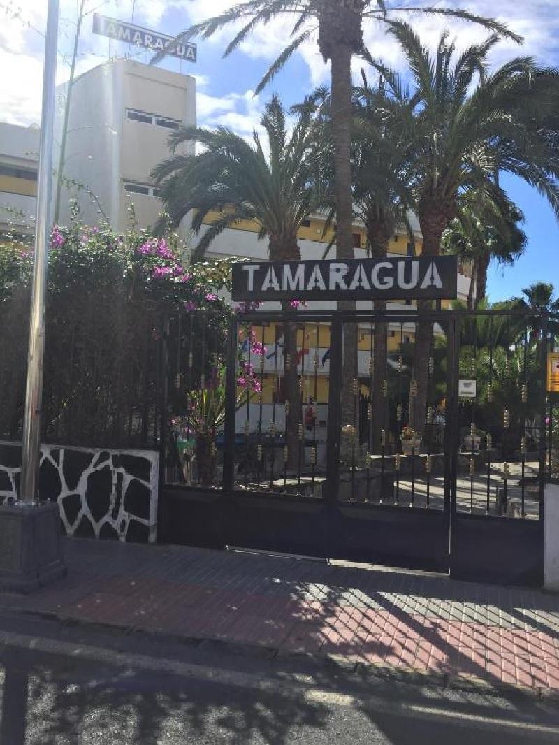 Apartamentos Tamaragua بلايا ديل إنغلز المظهر الخارجي الصورة