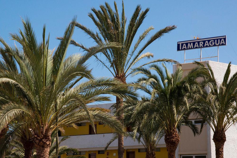 Apartamentos Tamaragua بلايا ديل إنغلز المظهر الخارجي الصورة